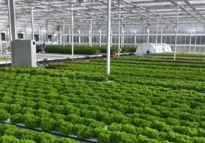 “三农”融资成本降低服务农业增产、农民增收 智慧农业等领域贷款增长明显