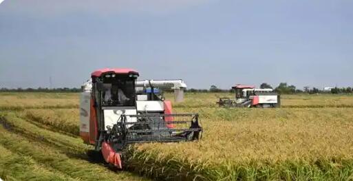 守底线 拉高线  天津助力农业高质量发展