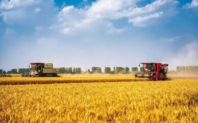 山西省粮食产量连续稳定在290亿斤以上