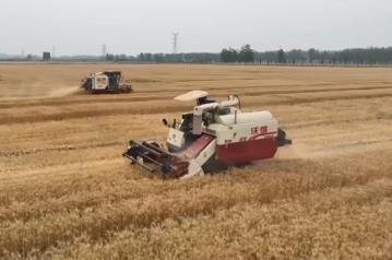 超1.4万亿斤！2025年全国粮食实现丰收