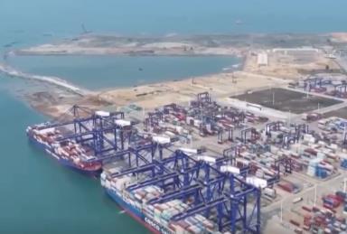 “船未到、手续已办毕” 洋浦港持续释放改革活力 集装箱吞吐量创新高