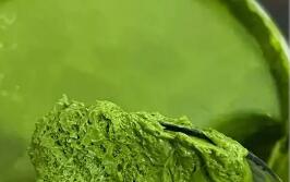 我国抹茶产业加速崛起