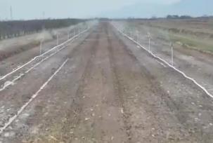 良种良技良法助力来年好“丰”景 特色农业开启乡村振兴“新引擎”