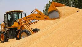 广西粮食应急保障企业突破2100家