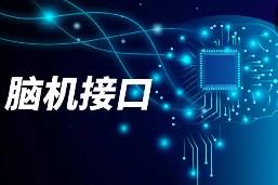 2025年我国脑机接口产业发展成效显著