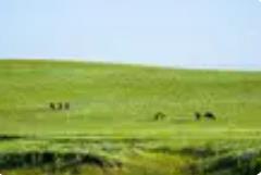 出游便捷又有趣 数智赋能内蒙古