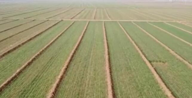 科技助力 保障冬季田间管理提质增效