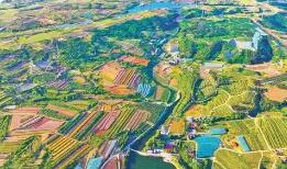 近三年山东省属企业乡村振兴投资约218亿元