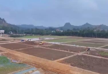 各地抢抓黄金施工期多维度发力 保障高标准农田建设筑牢粮食安全的良田根基