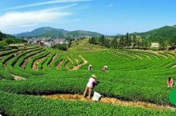 福建7个项目入选2025年度国家标准化试点项目