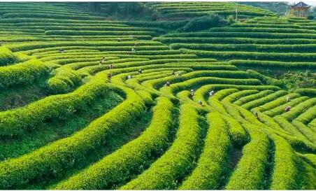 福建省建宁县：智能农机“跑”上坡 丘陵农业路更宽