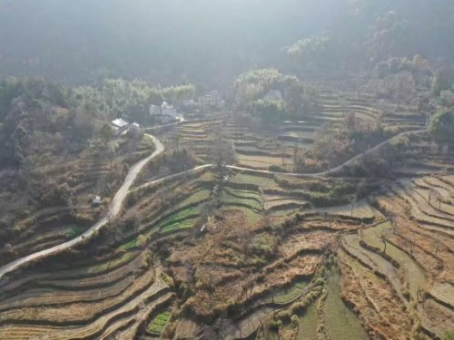 罗田烟草：铺就乡村振兴“路”， 焕发乡村新容颜