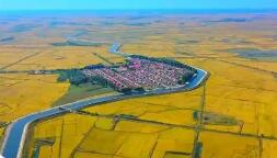 吉林粮食生产连续5年超800亿斤