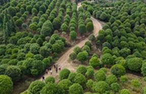 我国首部气候资源经济蓝皮书发布