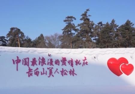 爱情森林、冰雪研学……解锁“冰雪+”新场景 冬季文旅消费焕发新活力