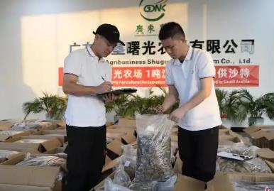 “中国沉香之乡”广东电白沉香首次大批量出口