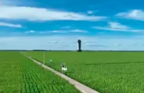 卫星“看”庄稼、大数据“算”收成 农业发展向“新”而行