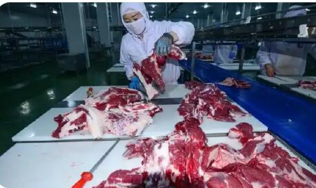进口牛肉激增，谁来“保障”国内产业健康发展？