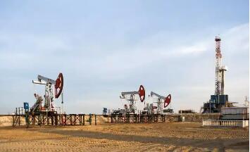 多元化转型驱动中东石化业逆势扩张