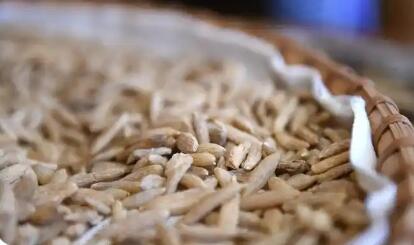 四川三台县：奏响麦冬产业“高值化”新乐章