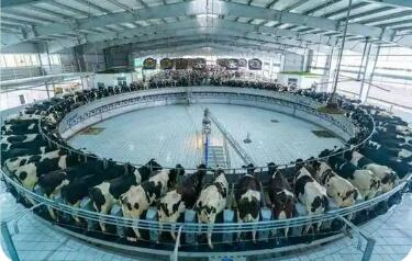 山东助力奶业高质量发展