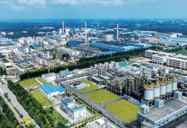 济宁这一年｜招商引资绘就高质量发展新画卷