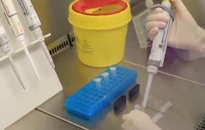 2025年我国累计发布226项食品农产品安全领域国家标准物质