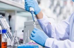 国家药监局：2025年我国药品抽检合格率99%以上