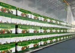 农业农村部：春节期间更多优质绿色年货“上新” 满足节日消费需求