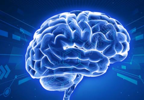 首个中国人群全生命周期脑图表成功构建