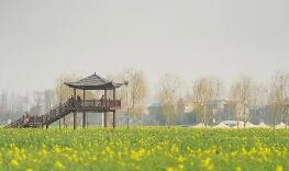 超800万游客的选择 湖北“袖珍”县城变身消费热土