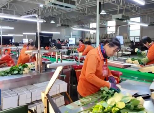 2025年我国乡村产业高质量发展取得积极成效