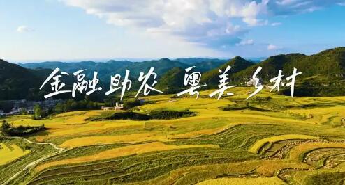 从“保险+期货”看金融助农的温度与力量