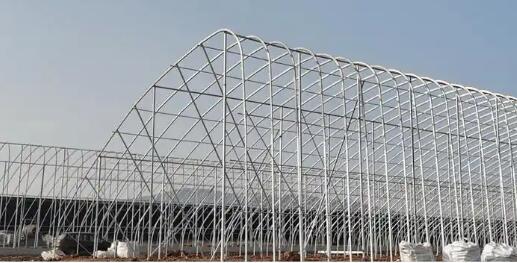 山东新泰：“跨村抱团”闯新路 “握指成拳”产业兴