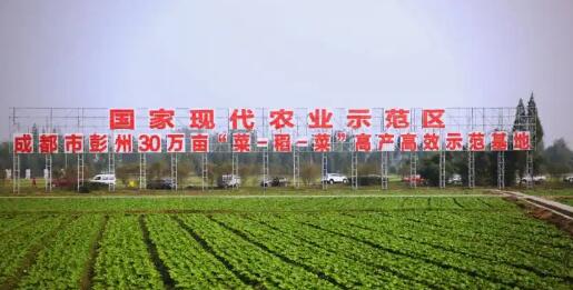 农业农村部会同财政部、国家发展改革委部署国家农业现代化示范区创建工作