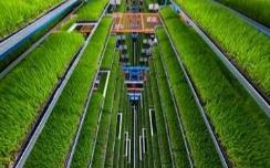 我国将重点建设6类国家农业现代化示范区