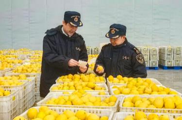 2025年四川外贸进出口总值10318.1亿元