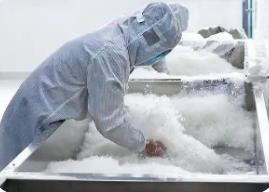 “中国羽绒之乡”广东吴川羽绒新年出口订单爆满