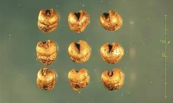 中国社科院发布重大考古成果让遗存不再存疑