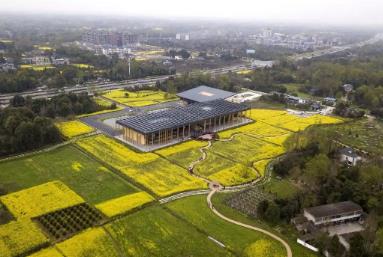 2025年四川农村社会事业成效显著 27个典型案例发布推广