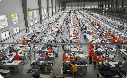 在册总量376.89万户 浙江民营企业总体发展稳健向好