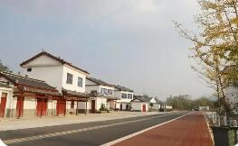 特色产业多点开花，乡村振兴活力满格