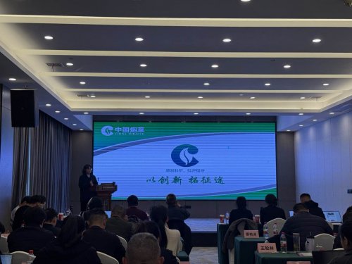 湖北武穴：育强青年生力军 筑牢发展硬根基