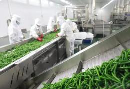 事关蔬菜制品生产 市场监管总局公开征求意见