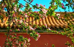 多项文旅数据指标创历史新高 北京文旅“十四五”答卷亮眼