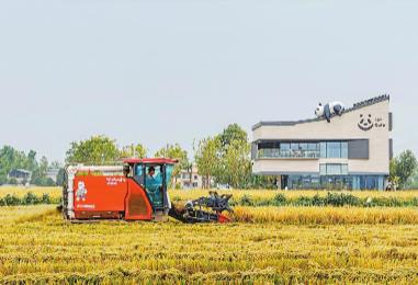 锻长板、补短板、育新板　今年四川“三农”工作划重点