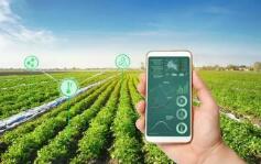 推动农业绿色转型向纵深挺进