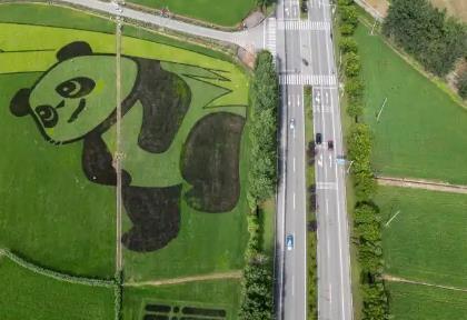 四川打造新时代更高水平“天府粮仓” 粮食产量达到732.5亿斤