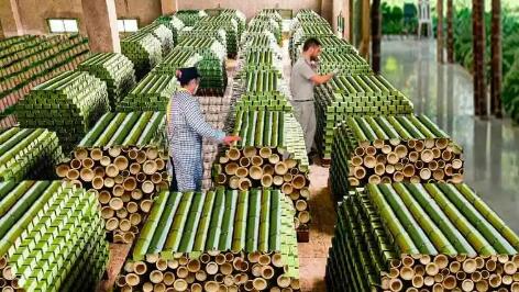 五千二百亿“大蛋糕” “以竹代塑”助推竹产业“节节高”