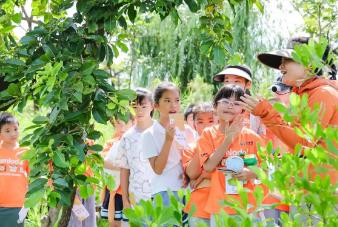 从“建设”到“示范”！“十四五”广东自然教育答出优秀卷